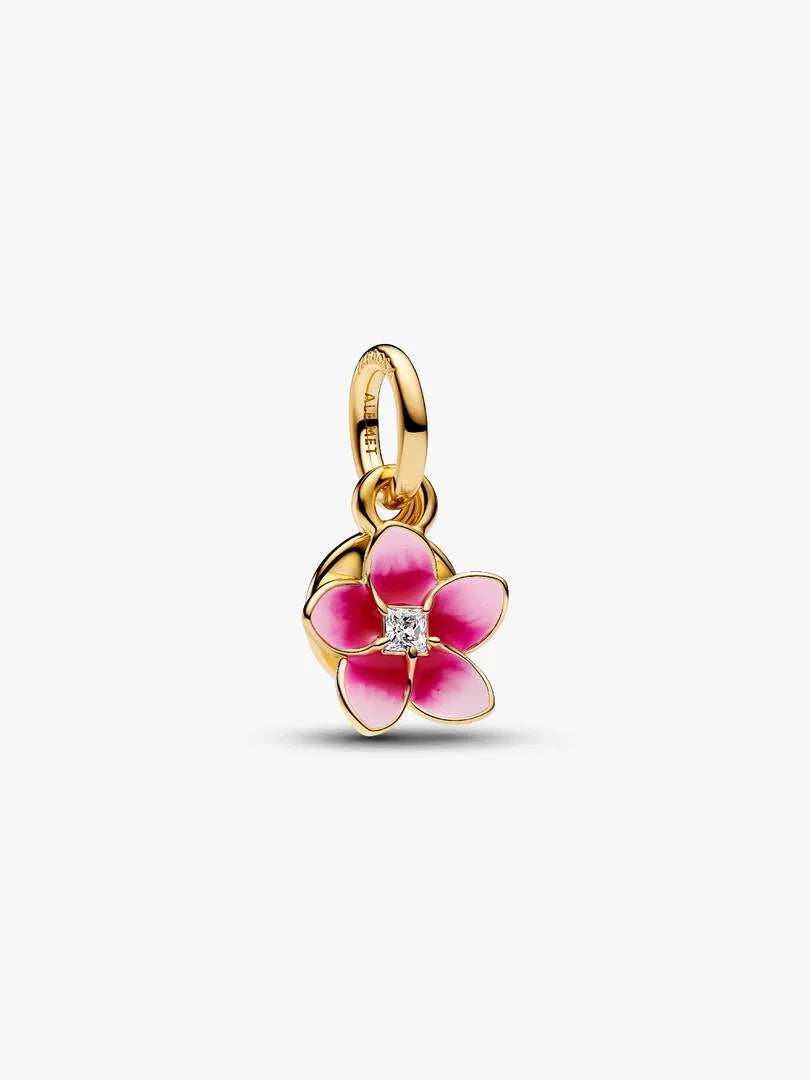 Étoile Charm