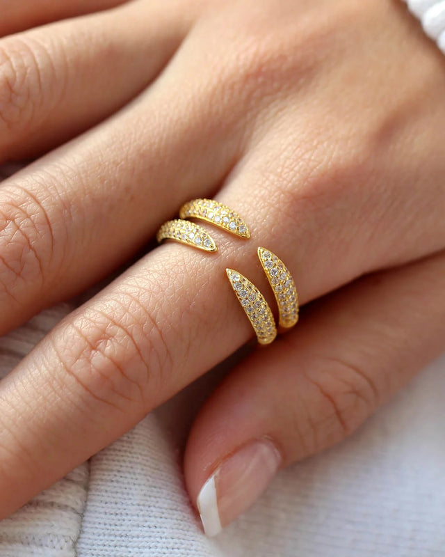 Ring Griffe — Bild 2