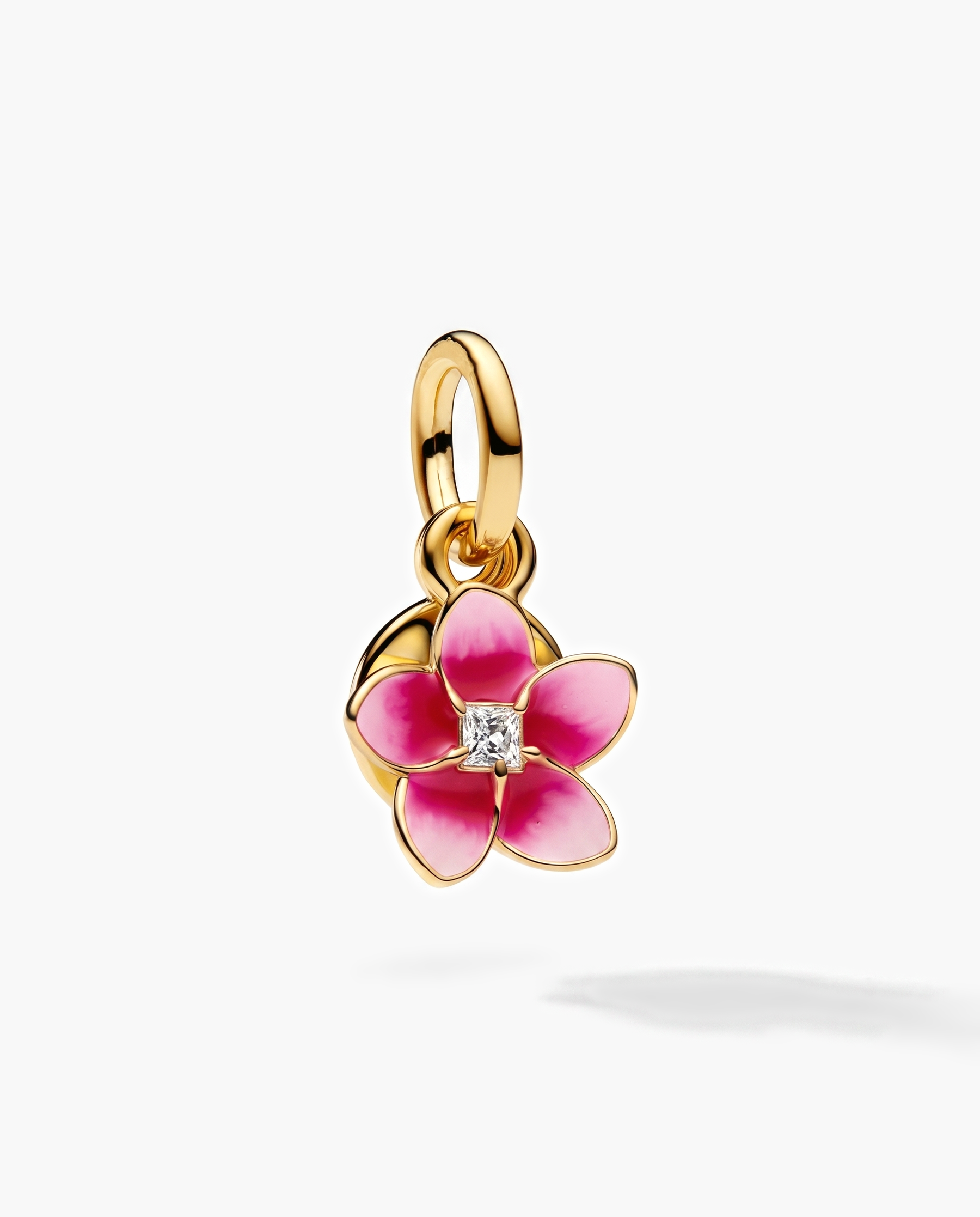Orchidée Charm