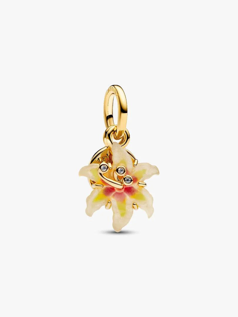 Toujours Charm